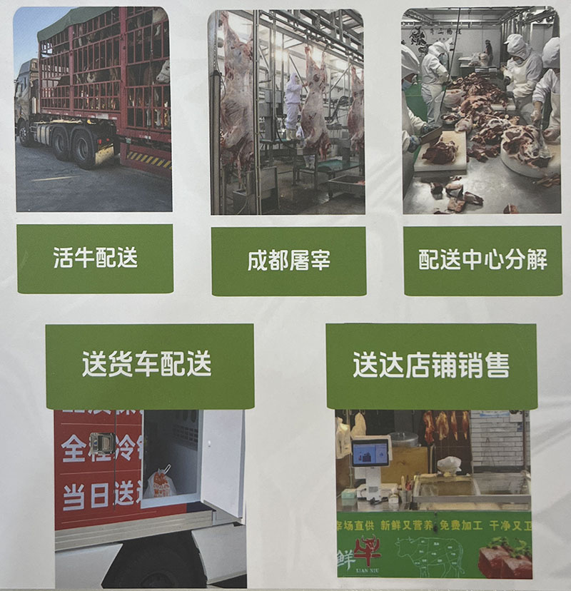 f9e00dba-748b-4d28-97ae-27e1e19b9253.jpg
